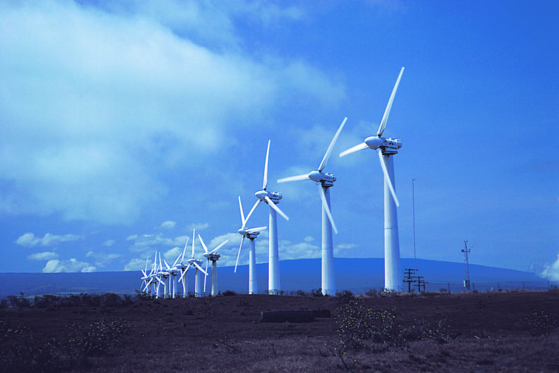 WindKraft Bie